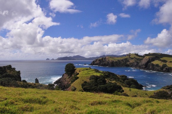 Bay Of Islands