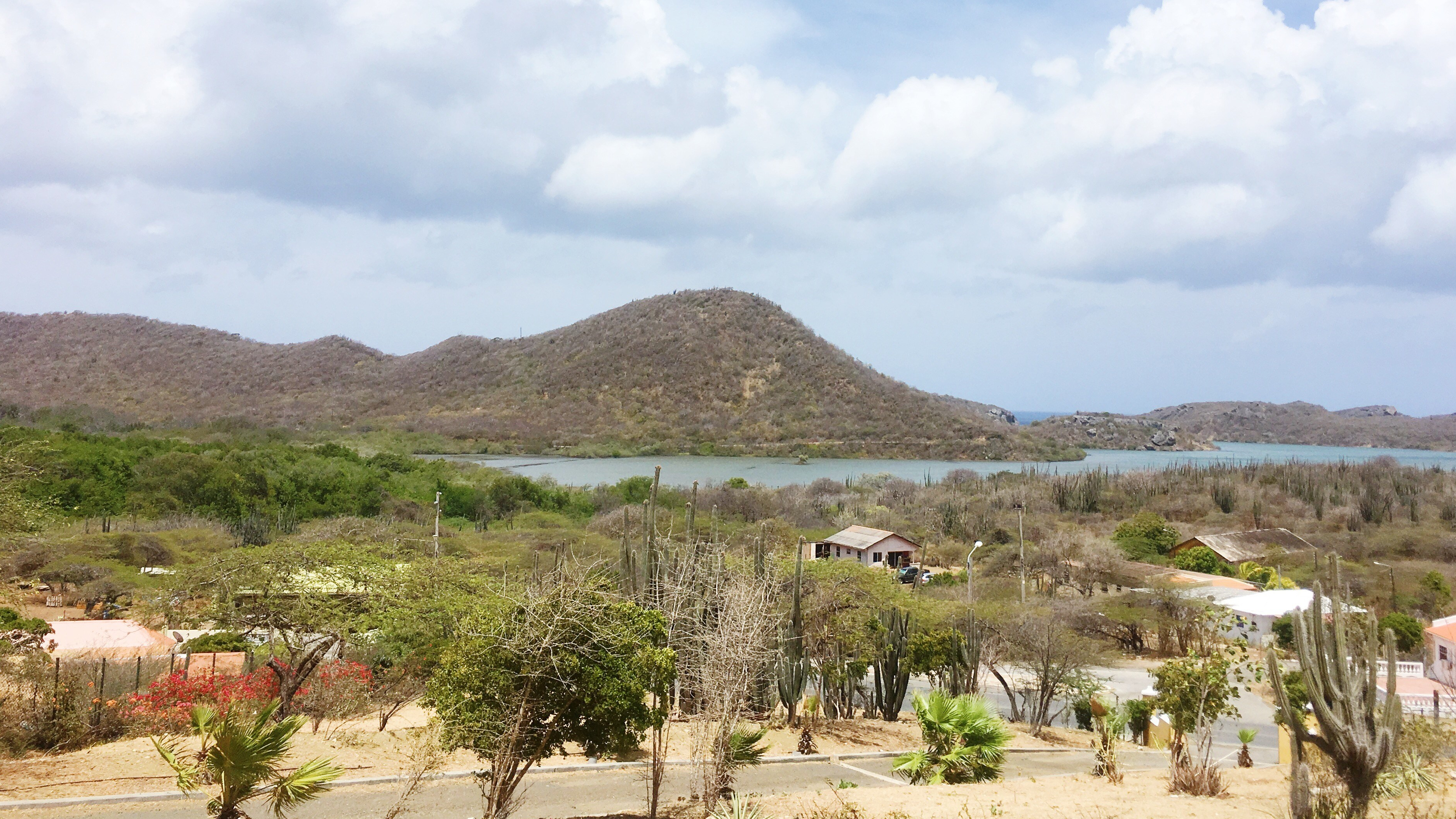 17DBDA2F-202A-4DB4-935B-8E1ED02A5925